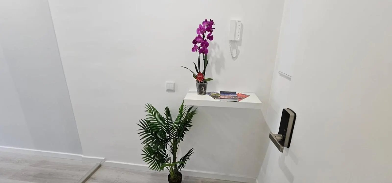 Time Off Madeira Apartment Funchal  Portugal